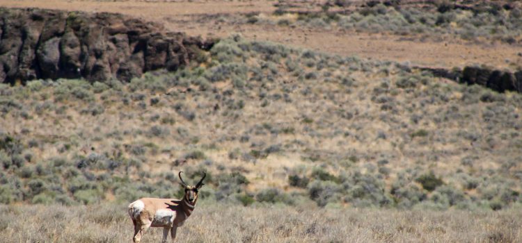 Le comité de la Chambre approuve les ventes de terrains publics fédéraux
