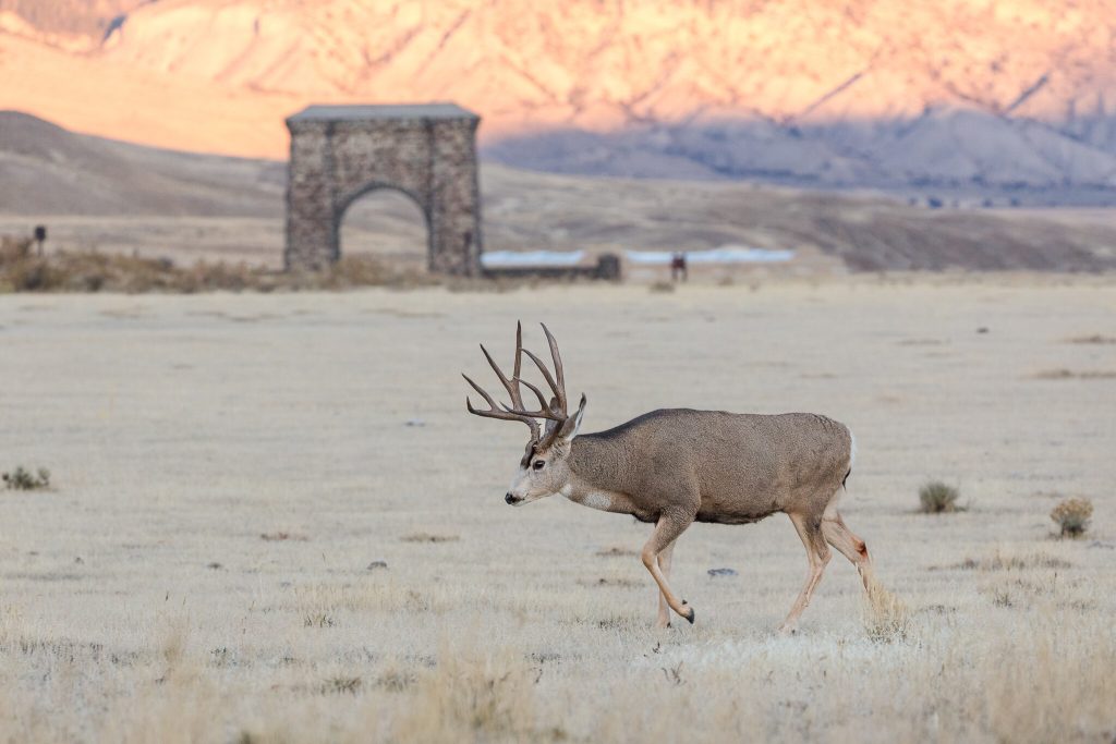 Les visiteurs des parcs nationaux sont prêts à payer des frais supplémentaires