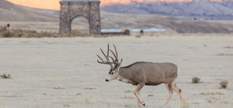 Les visiteurs des parcs nationaux sont prêts à payer des frais supplémentaires Les visiteurs des parcs nationaux sont prêts à payer des frais supplémentaires