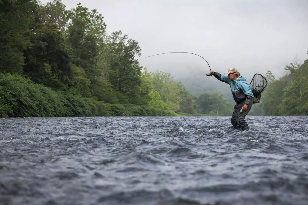 Podcast rapide: la nymphe Euro est-elle correcte pour vous?