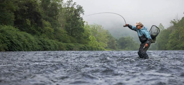 Podcast rapide: la nymphe Euro est-elle correcte pour vous? Podcast rapide: la nymphe Euro est-elle correcte pour vous?