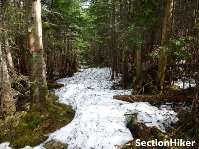 [Titre du site] Conditions de sentier de printemps dans les montagnes blanches