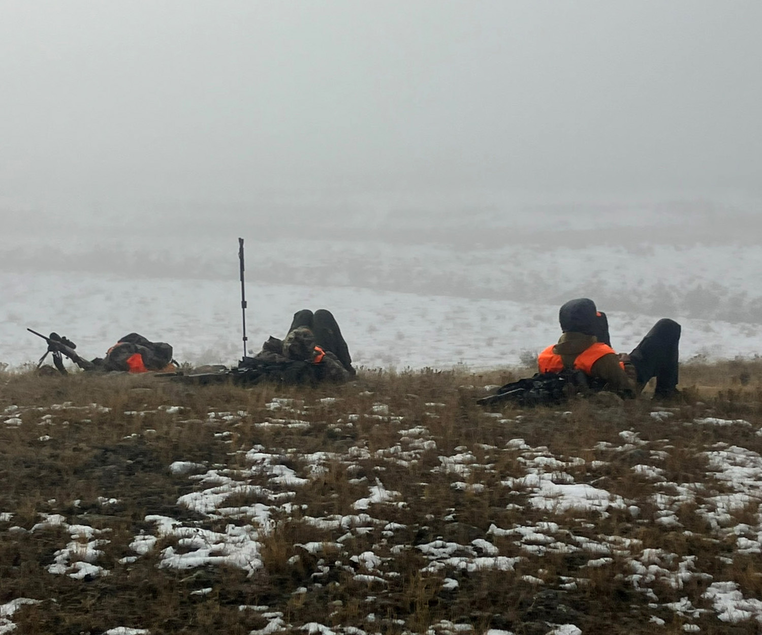 [Titre du site] J'ai détruit ma jambe en emballant mon cerf et j'aurais pu mourir