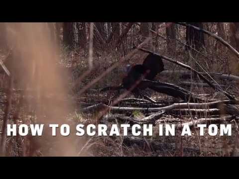 [Titre du site] Les 7 plus grandes erreurs de chasse à la dinde qui vous empêcheront de frapper votre étiquette