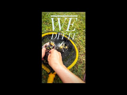 [Titre du site] Le pêcheur attrape les basses sur son propre leurre de canetling imprimé en 3D