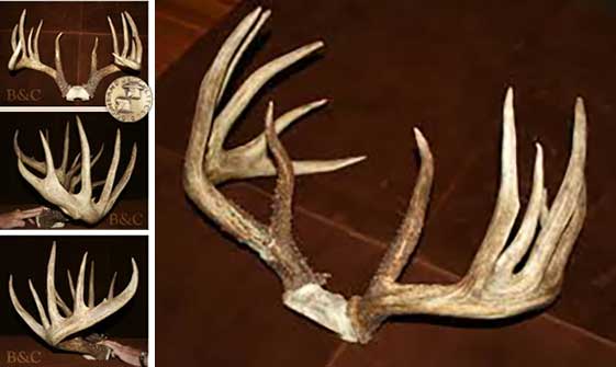 [Titre du site] Les 5 dollars le plus controversé dans l'histoire récente