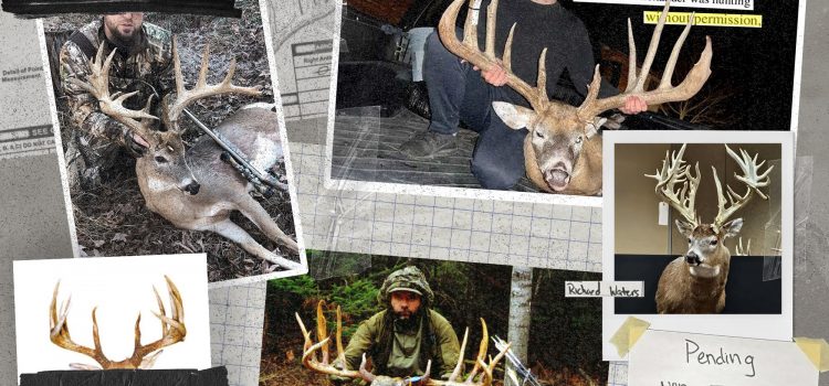 Les 5 dollars le plus controversé dans l’histoire récente Les 5 dollars le plus controversé dans l'histoire récente