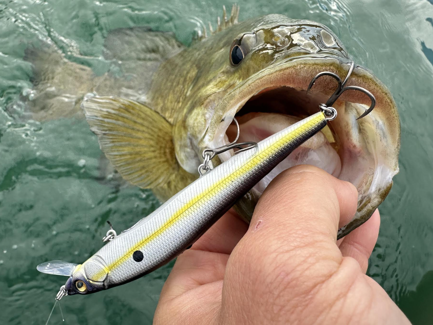 [Titre du site] La meilleure façon d'attraper l'achigan à petite bouche pré-tournant? Jouez lentement un jerkbait