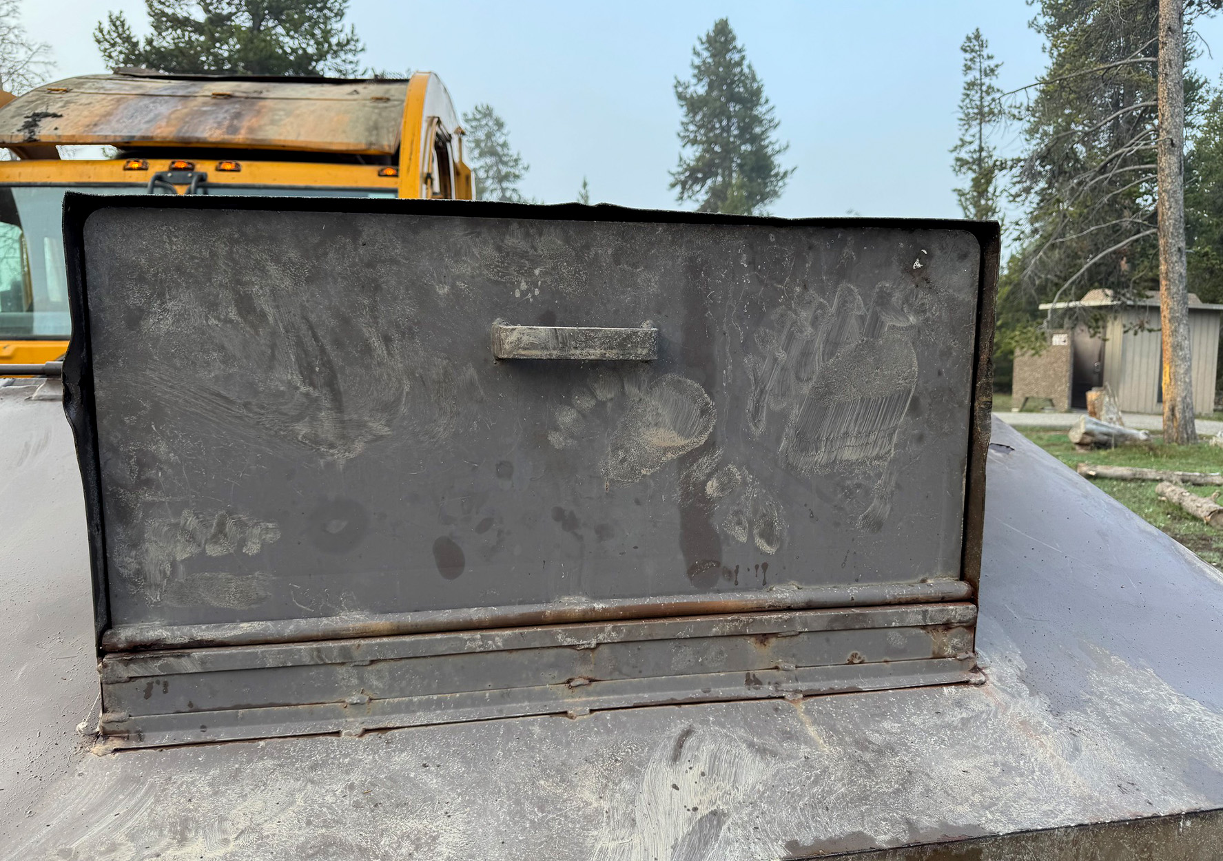 [Titre du site] Les responsables de Yellowstone tuent Grizzly Bear qui retournait plus de 800 livres