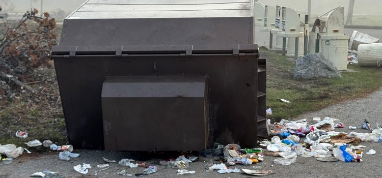 Les responsables de Yellowstone tuent Grizzly Bear qui retournait plus de 800 livres Les responsables de Yellowstone tuent Grizzly Bear qui retournait plus de 800 livres