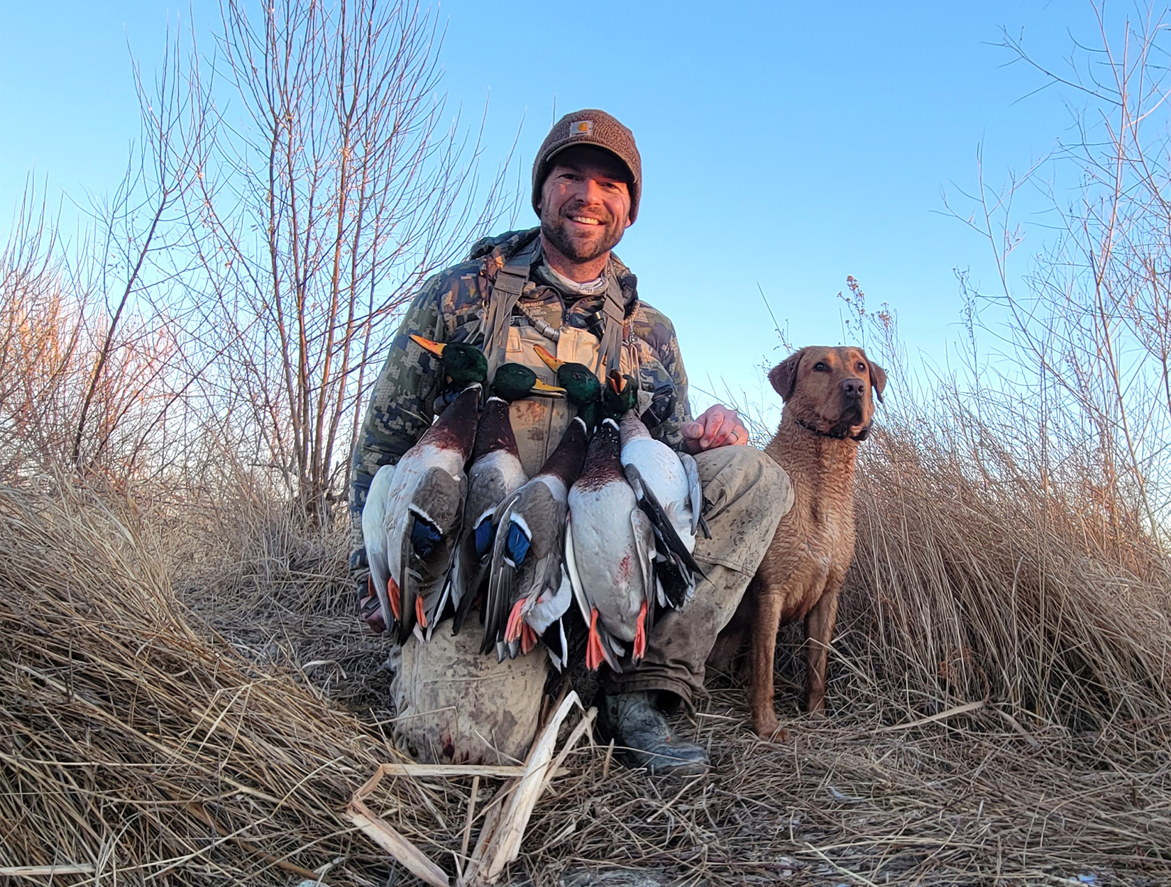 [Titre du site] Je me suis presque noyé sur la première chasse de mon chien de canard