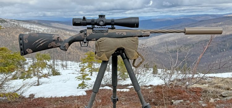 Rogue torsadé féroce, testé et examiné Rogue torsadé féroce, testé et examiné