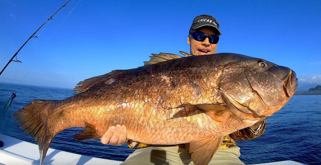 Comment combattre les gros poissons