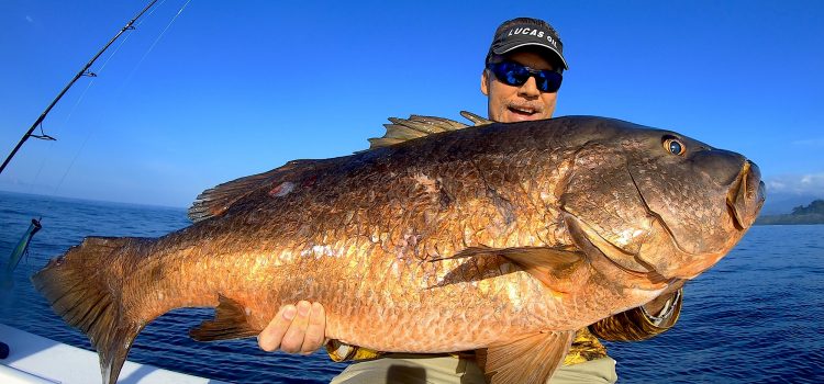 Comment combattre les gros poissons Comment combattre les gros poissons