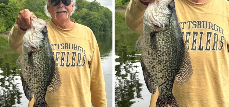 Crappie de la dalle manque le statut de record mondial sur une technicité Crappie de la dalle manque le statut de record mondial sur une technicité