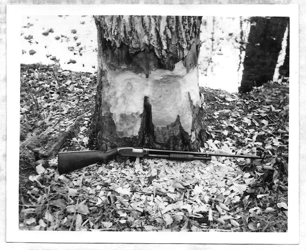 [Titre du site] 16 photos vintage incroyables d'un refuge faunique de l'Alaska