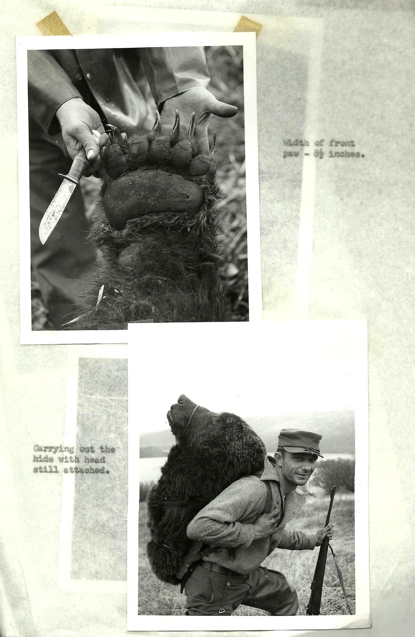 [Titre du site] 16 photos vintage incroyables d'un refuge faunique de l'Alaska