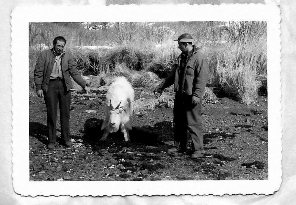 [Titre du site] 16 photos vintage incroyables d'un refuge faunique de l'Alaska
