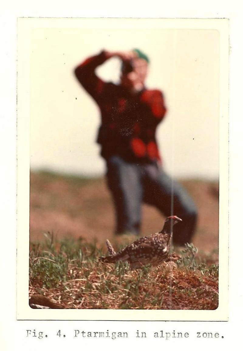 [Titre du site] 16 photos vintage incroyables d'un refuge faunique de l'Alaska