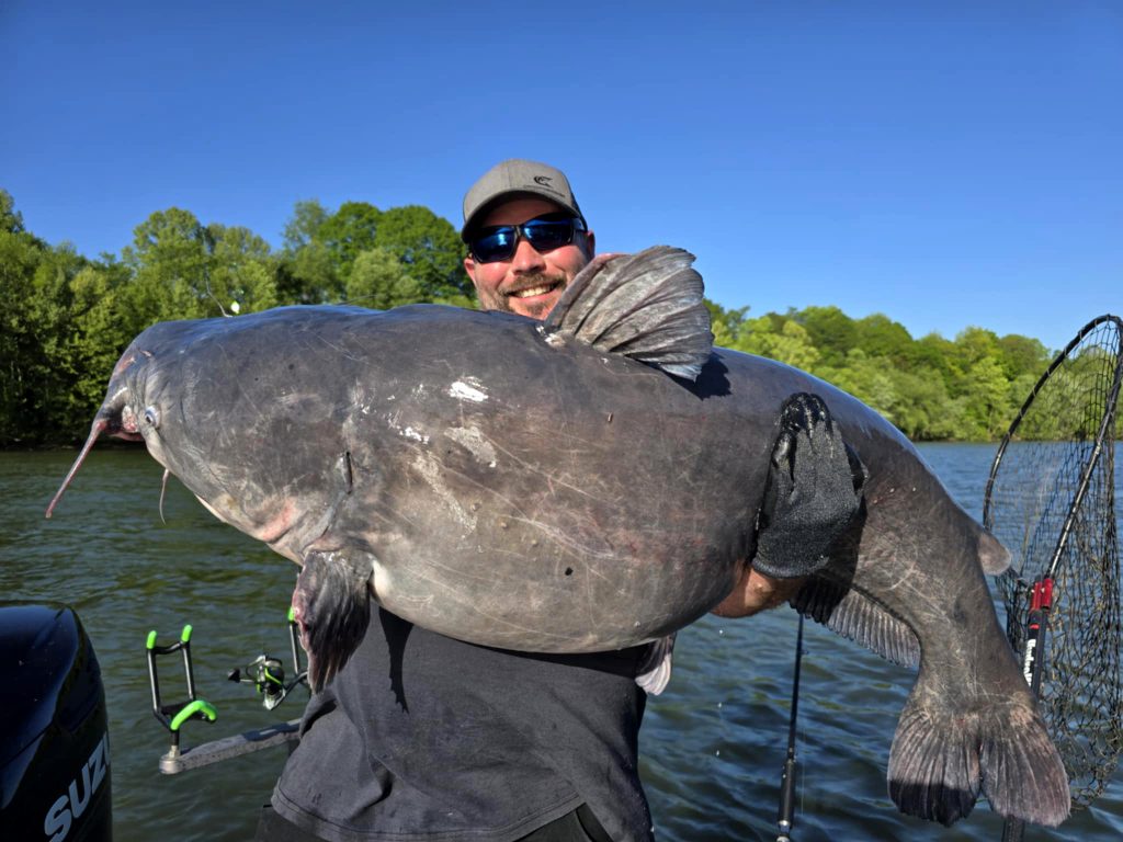 Blue Catfish bat le record de l'État de Virginie-Occidentale