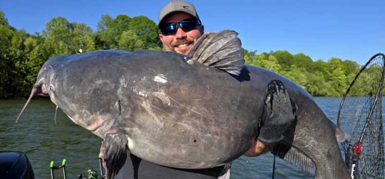Blue Catfish bat le record de l'État de Virginie-Occidentale
