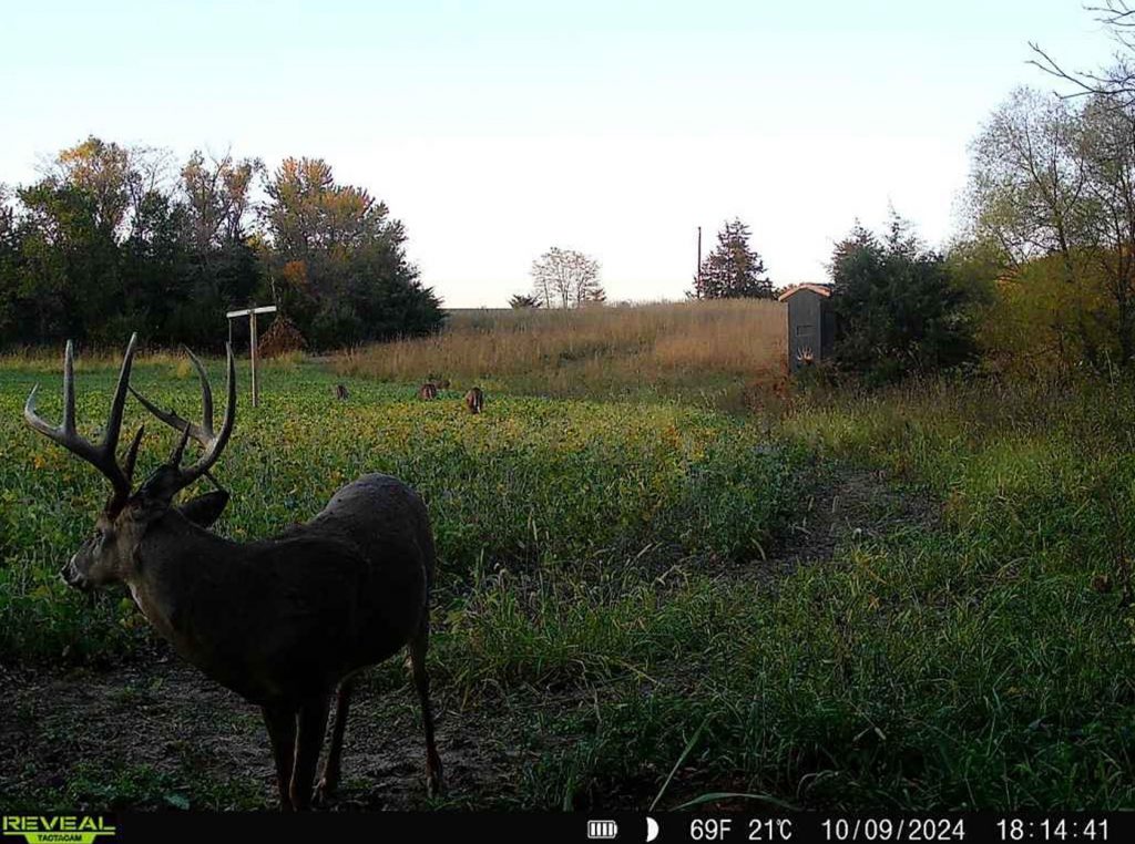 Une personnalité de chasse poursuit un gardien de gibier sur les accusations d'appâts