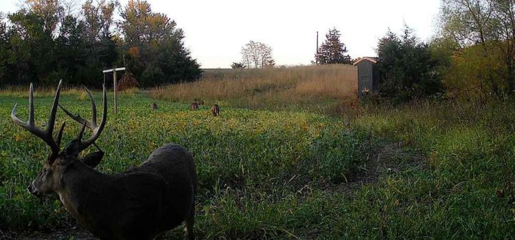 Une personnalité de chasse poursuit un gardien de gibier sur les accusations d'appâts
