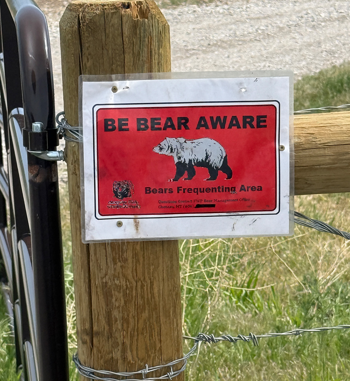 [Titre du site] Le chasseur de champignons qui a tué le chargement Griz explique ce qui s'est passé