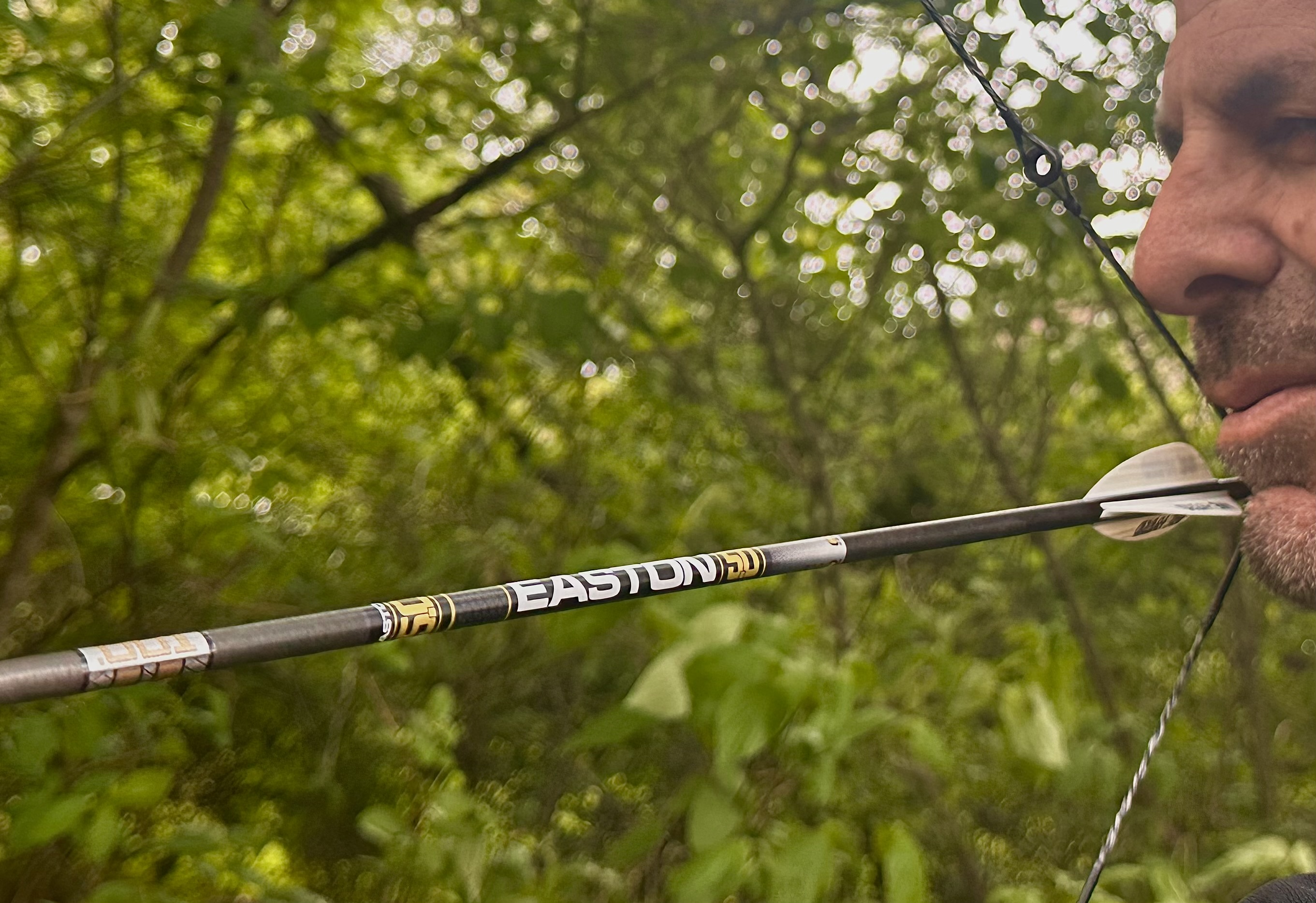 [Titre du site] La forte tendance des flèches est morte. La vitesse est de retour