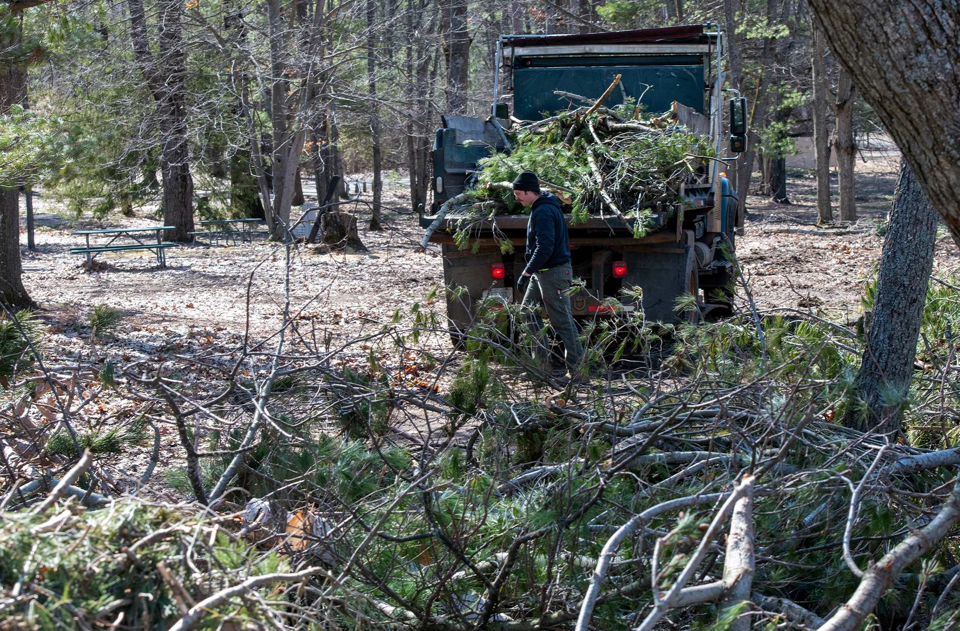 [Titre du site] Quelle est la prochaine étape pour les forêts du Michigan après la tempête de glace historique?