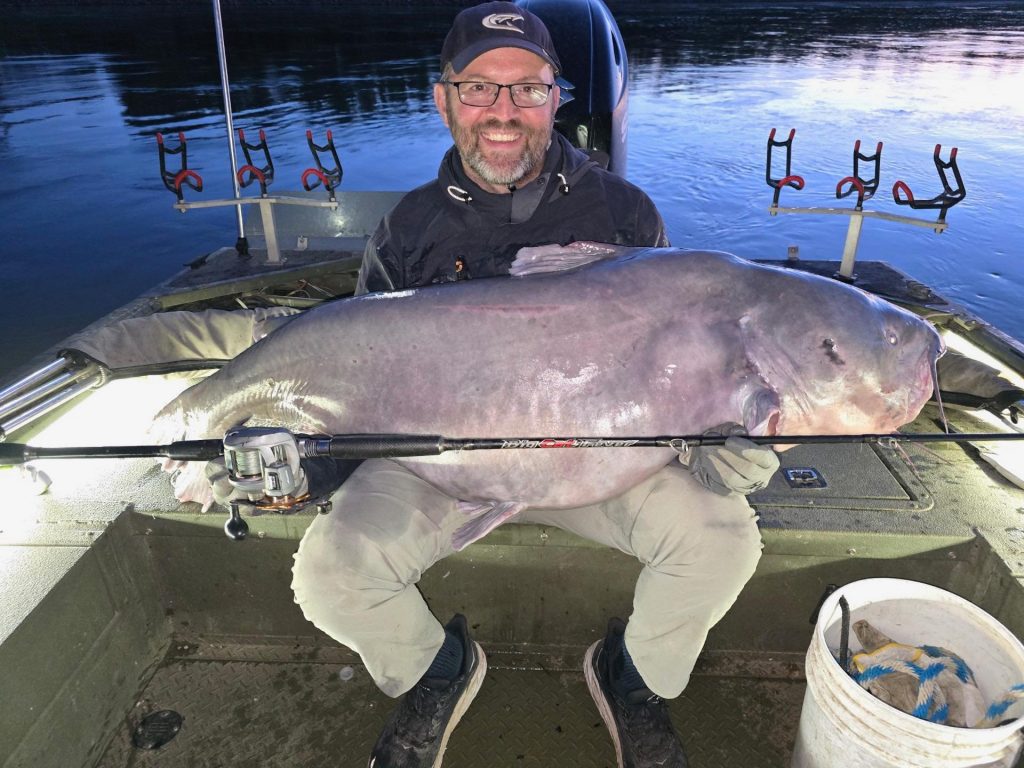 Big Blue Catfish pris au Kansas pourrait être un record