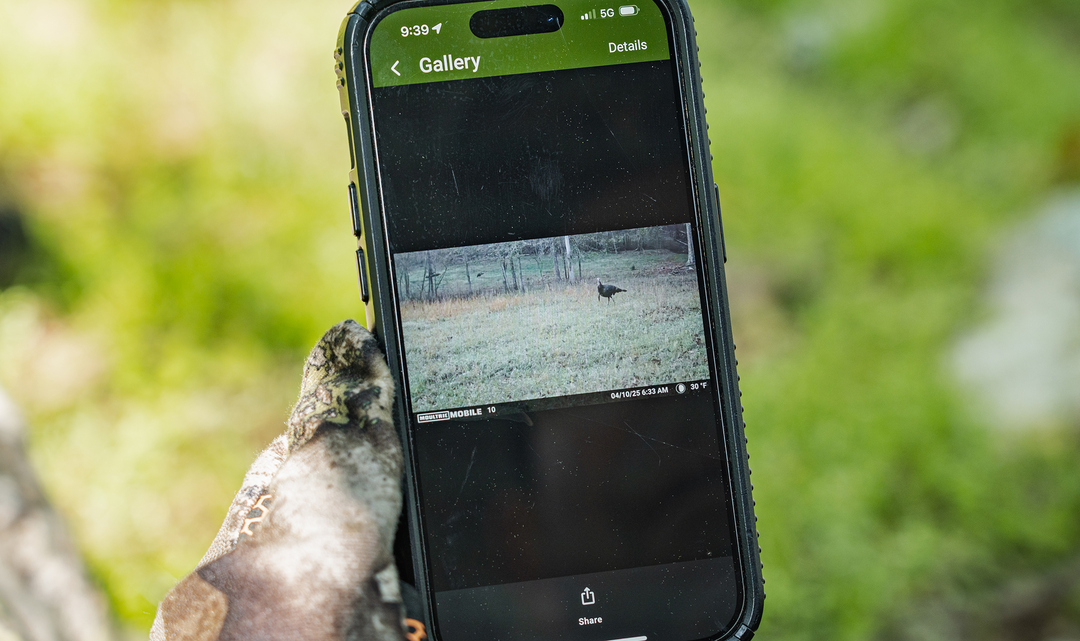 [Titre du site] Comment utiliser des caméras de sentier pour la chasse à la dinde