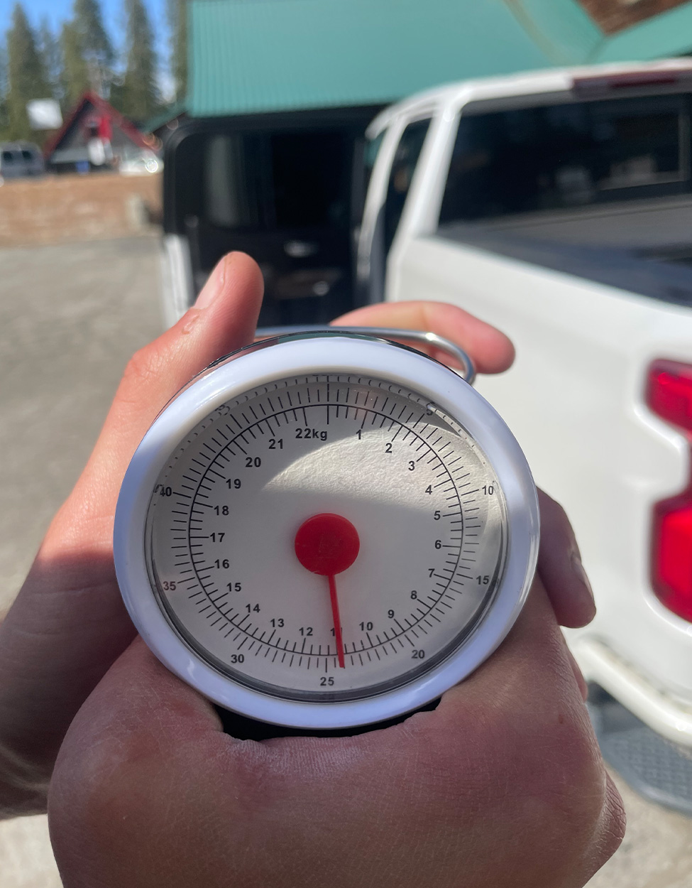 [Titre du site] Énorme truite brune manque juste le record de l'État de Californie