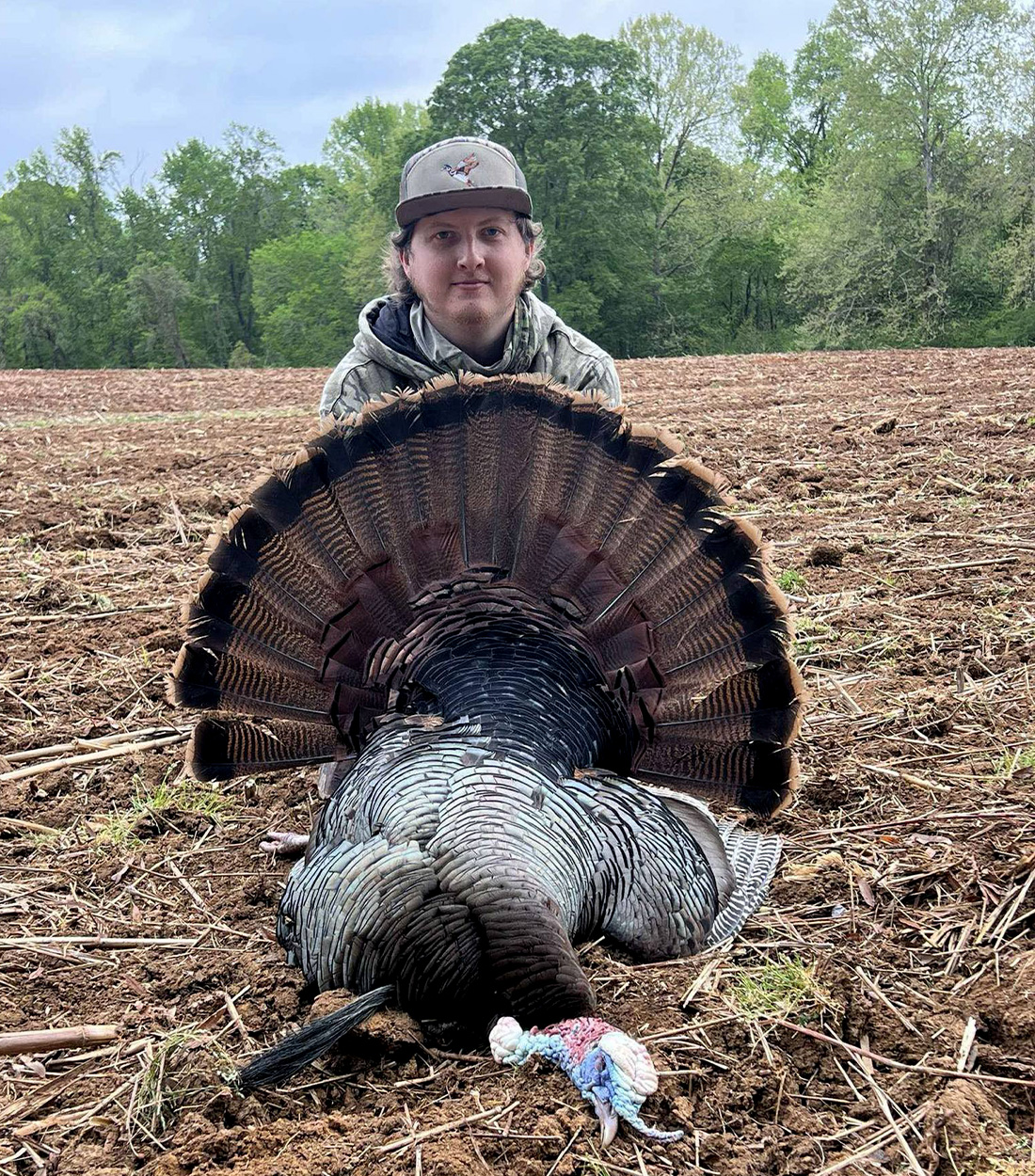 [Titre du site] Hunter Tags Double-Spurred Gobbler