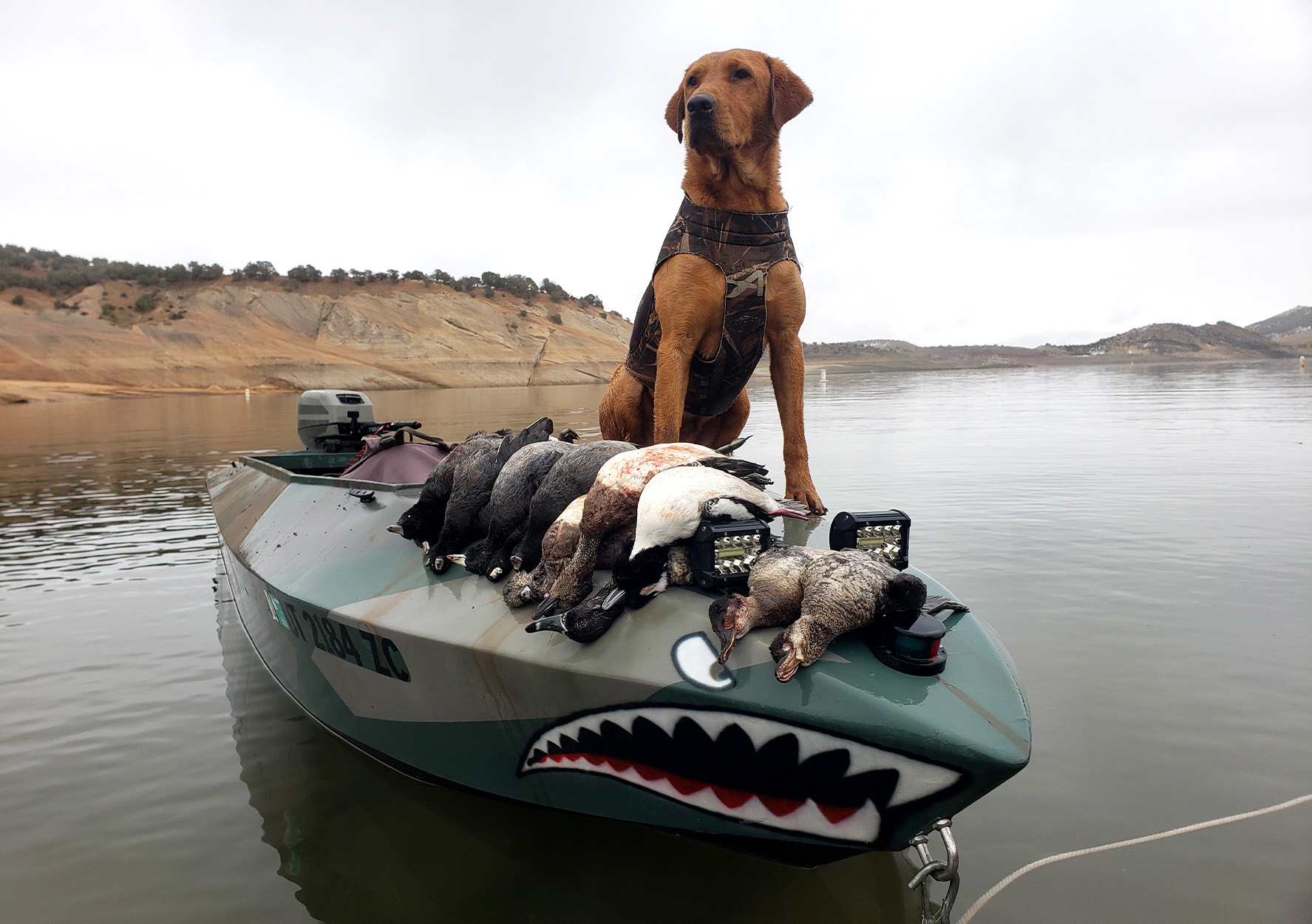 [Titre du site] Je me suis presque noyé sur la première chasse de mon chien de canard