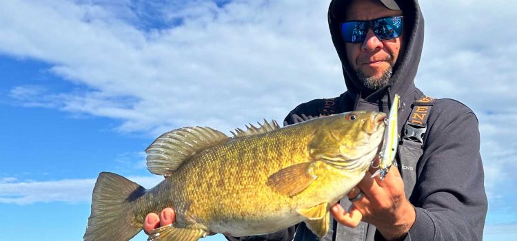 La meilleure façon d’attraper l’achigan à petite bouche pré-tournant? Jouez lentement un jerkbait La meilleure façon d'attraper l'achigan à petite bouche pré-tournant? Jouez lentement un jerkbait