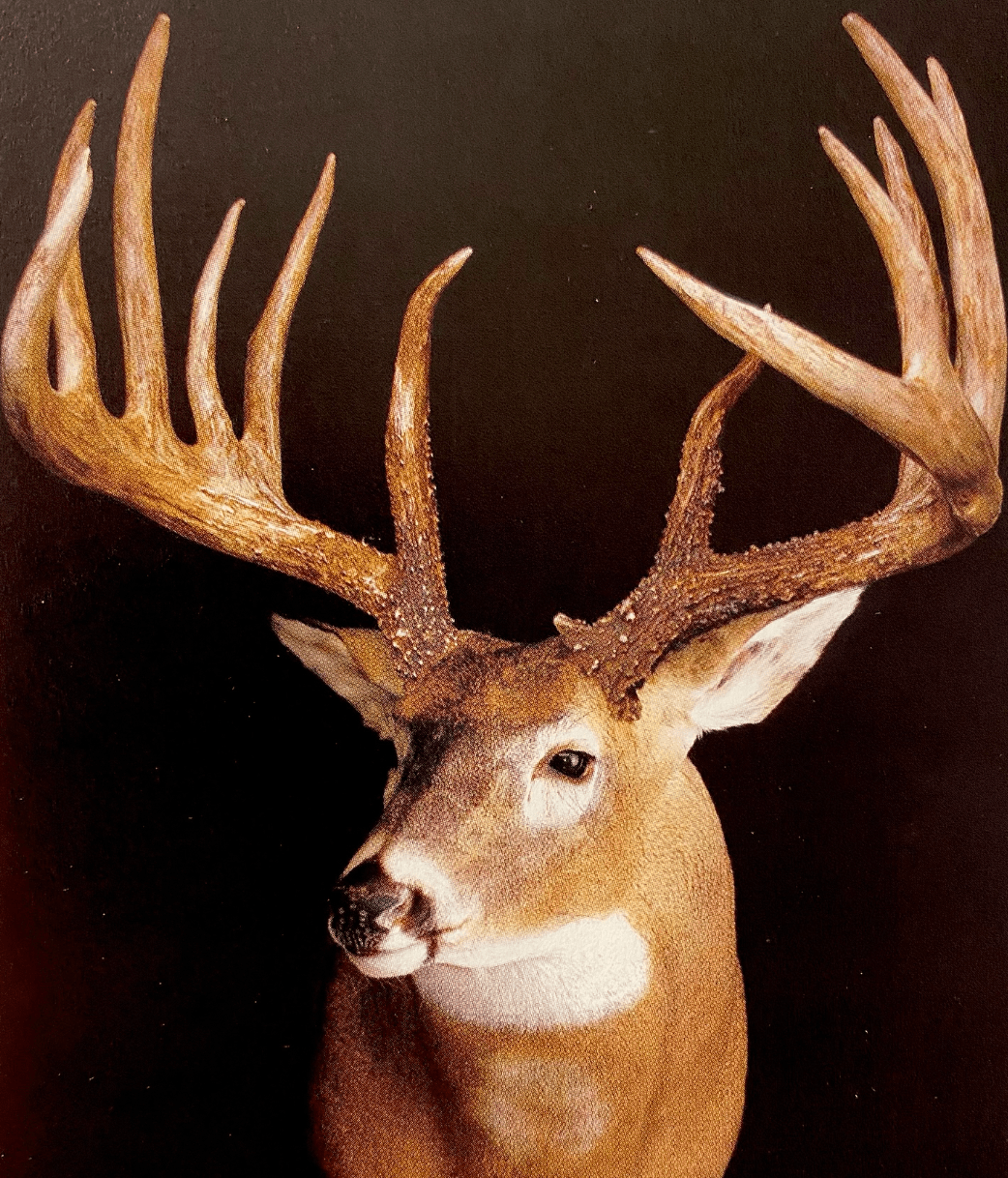 [Titre du site] Les 5 dollars le plus controversé dans l'histoire récente