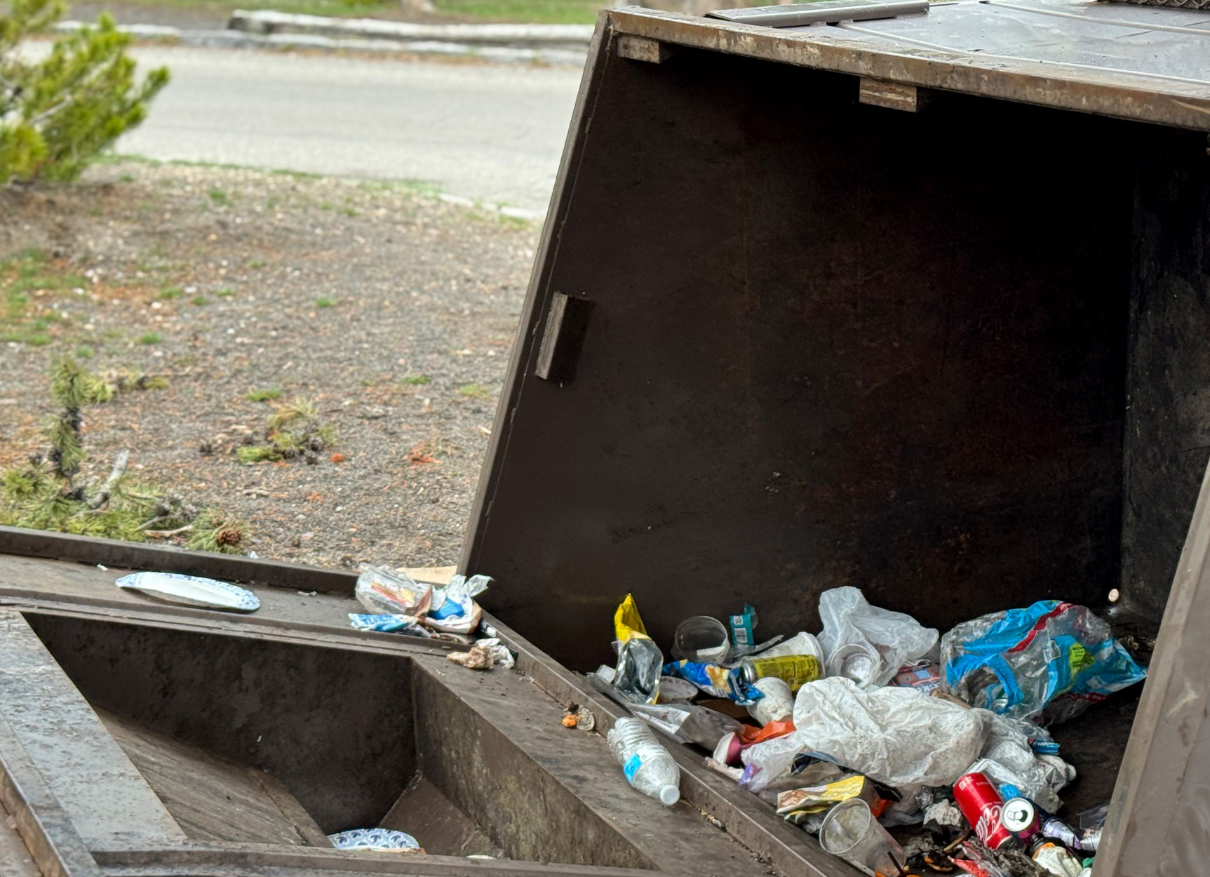 [Titre du site] Les responsables de Yellowstone tuent Grizzly Bear qui retournait plus de 800 livres