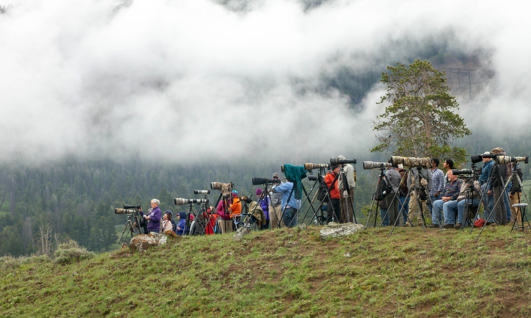 [Titre du site] Les visiteurs des parcs nationaux sont prêts à payer des frais supplémentaires
