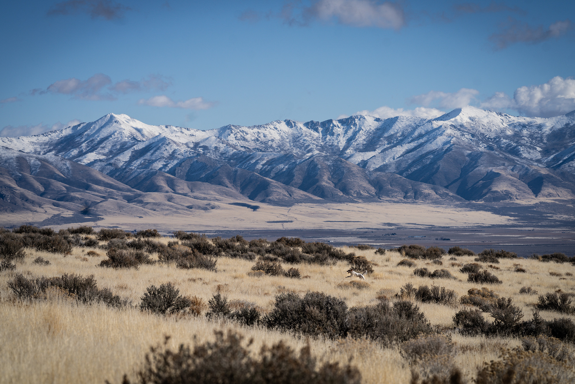 [Titre du site] Onx trouve que la vente de terrains publiques est 3 fois plus grande que nous ne le pensions