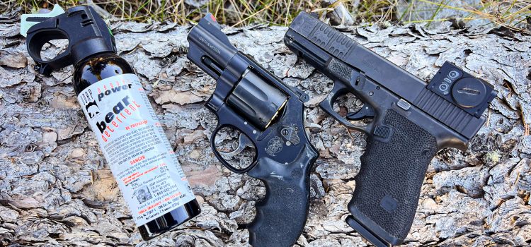 Pourquoi le 10 mm est un excellent choix pour la défense des ours Pourquoi le 10 mm est un excellent choix pour la défense des ours