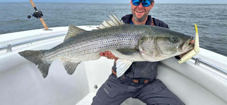 Utilisez des appâts Glide pour attraper de gros poissons d’eau salée Utilisez des appâts Glide pour attraper de gros poissons d'eau salée