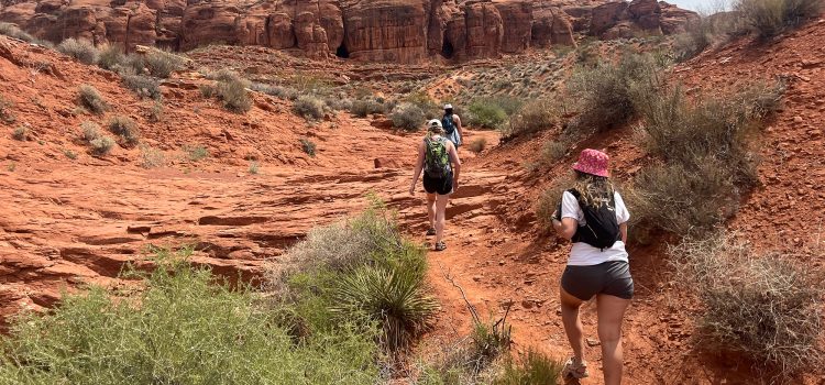 Votre guide de la vente d’anniversaire de REI: 25% de réduction sur l’équipement d’aventure Votre guide de la vente d'anniversaire de REI: 25% de réduction sur l'équipement d'aventure