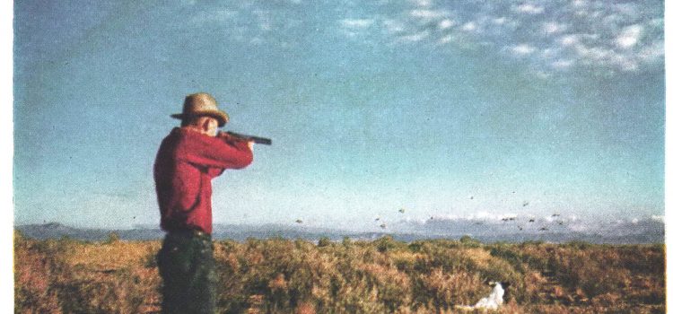 J’ai été témoin des jours de gloire de la chasse au tétras de sauge J'ai été témoin des jours de gloire de la chasse au tétras de sauge