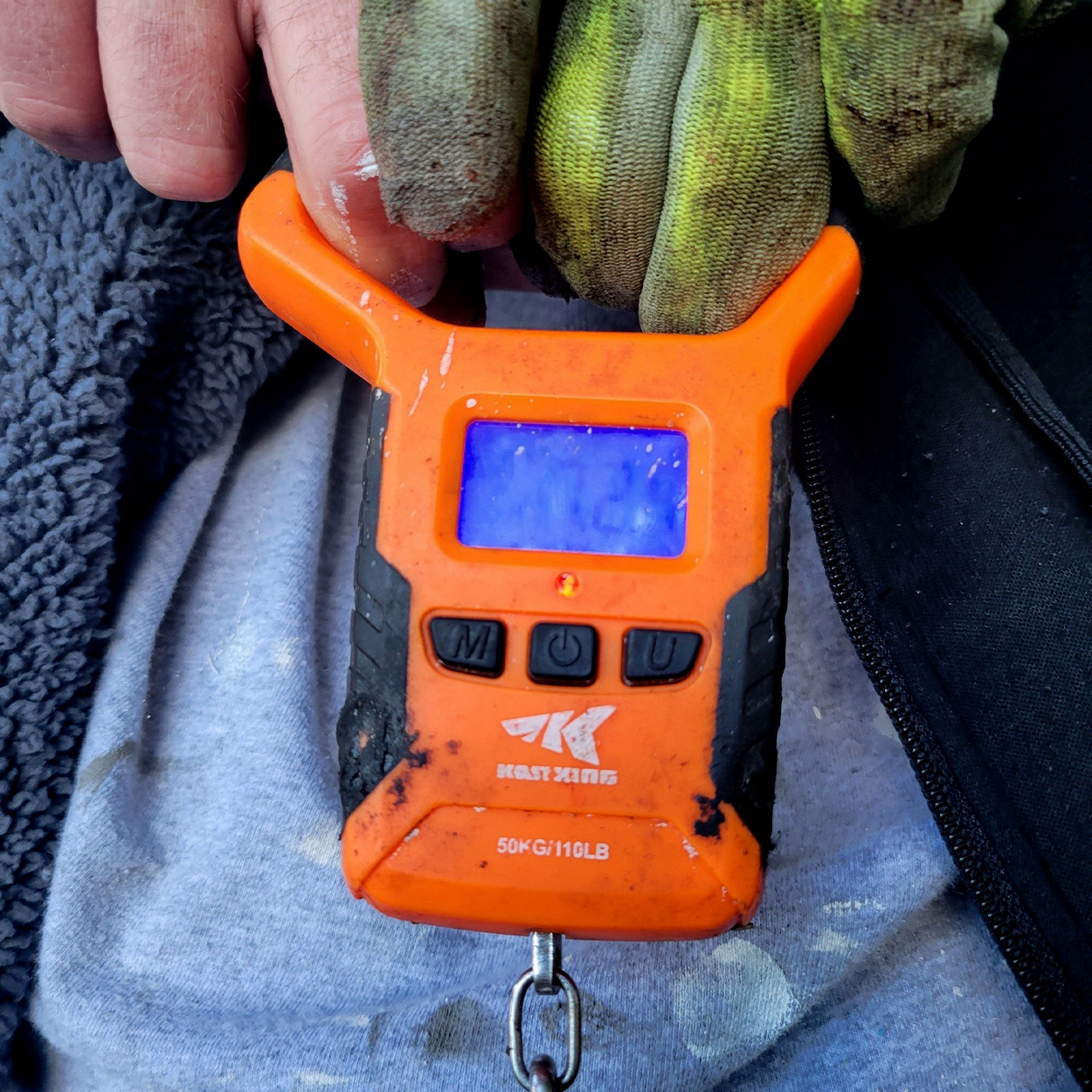 [Titre du site] Philly Fisherman attrape un énorme poisson-chat à tête plate