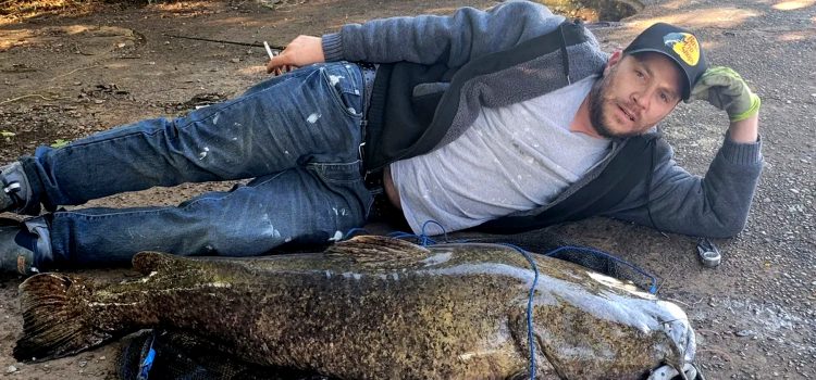 Philly Fisherman attrape un énorme poisson-chat à tête plate
