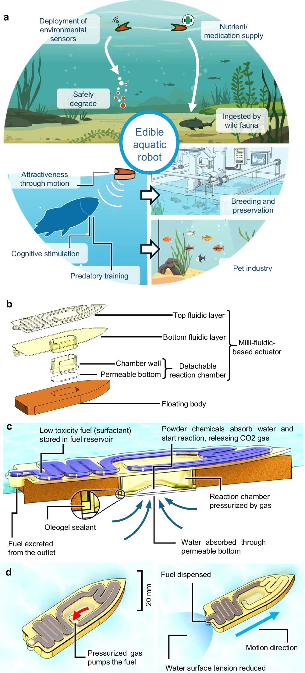 [Titre du site] Les minuscules robots comestibles pourraient-ils devenir l'avenir de l'appât «en direct»?