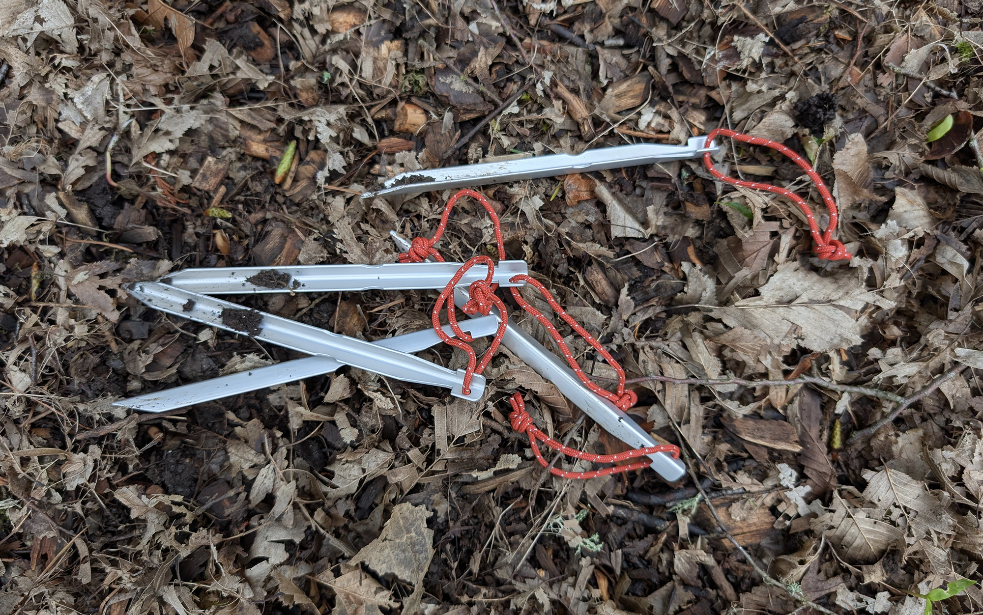 [Titre du site] REI Half Dome 2 Plus: une tente pour les gouverner toutes