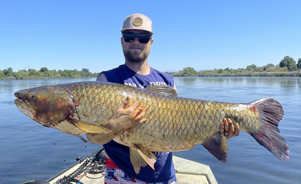 La carpe record était si grande qu'elle a brisé la flèche de la pêcheur
