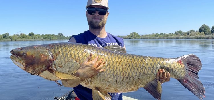 La carpe record était si grande qu’elle a brisé la flèche de la pêcheur La carpe record était si grande qu'elle a brisé la flèche de la pêcheur